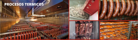CARNOTEX-791x1024_horneado