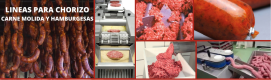 CARNOTEX-791x1024_carne molida y hamburguezas