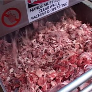 CORTADORA DE CARNE CONGELADA